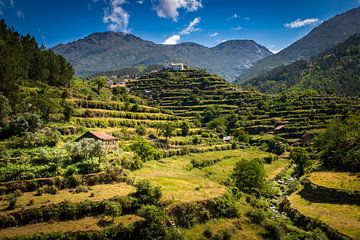 Agricultural terraces in Serra da Estrela by Antwan Janssen