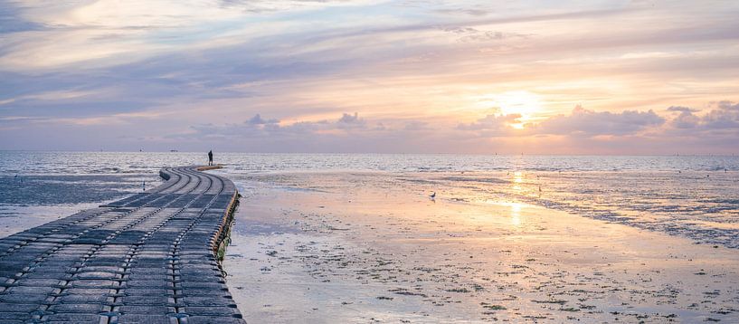 Panorama of the beach near Harlingen by MdeJong Fotografie