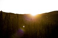 Rjukandefossen, Norwegen - Sonne durch die Bäume von Lars Scheve Miniaturansicht