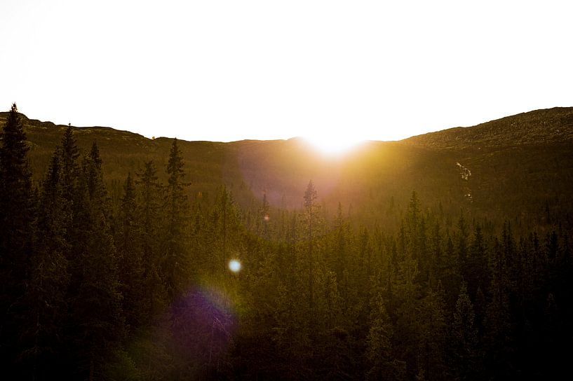 Rjukandefossen, Norwegen - Sonne durch die Bäume von Lars Scheve