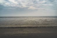 Wadden Sea by rosstek ® thumbnail