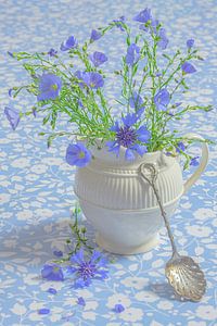 Flachs