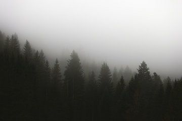 Forêt sombre et mystérieuse dans la brume | photographie de paysage | lunatique sur Laura Dijkslag