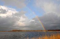 Regenboog boven Botshol von Wim Stolwerk Miniaturansicht