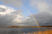 Rainbow over Botshol