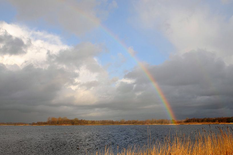 Regenboog boven Botshol von Wim Stolwerk