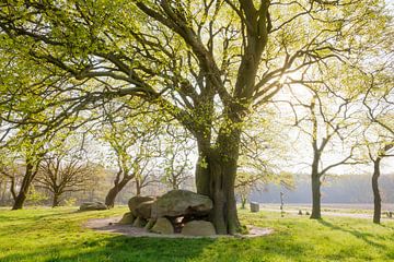 Hunebedden in Drenthe van Karla Leeftink