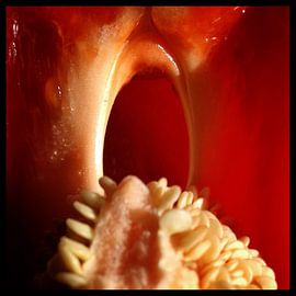 Cave by Kuba Bartyński