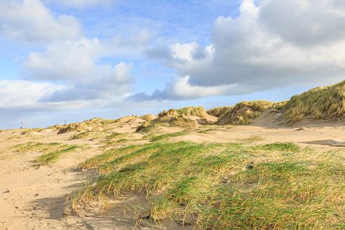 Duinen en strand met diepe door storm ontstane gaten  en stuifzanden