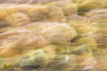 Serie "by the river"