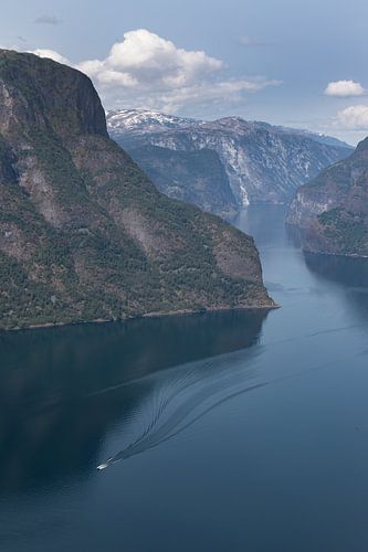 Fjorden