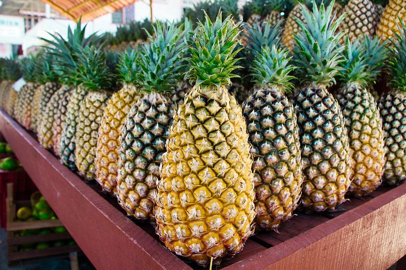 Pineapples have artistic appeal by Natuurpracht   Kees Doornenbal
