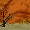 Baum-Skelett vor roter Sanddüne (Namibia Sossusvlei Fotogemälde) von images4nature by Eckart Mayer Photography