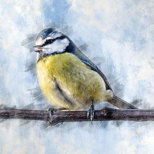 Blue tit on a branch (drawing)