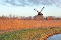 Holland landschapsbeeld met molen van Ronald Smits thumbnail