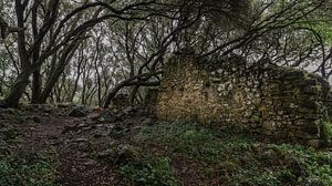 Ruines dans les Asturies sur Rogier Muller