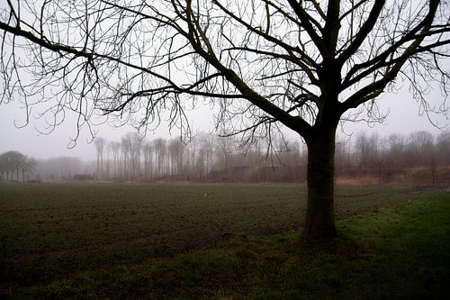 Treurige mist
