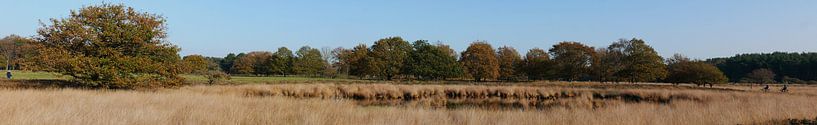 Autumn on the Dwingelderveld by Wim vd Neut
