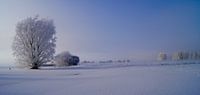 winter landschap van Michel Burgers thumbnail