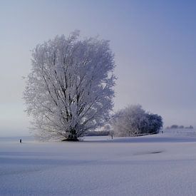 winter landschap van Michel Burgers