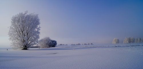 winter landschap