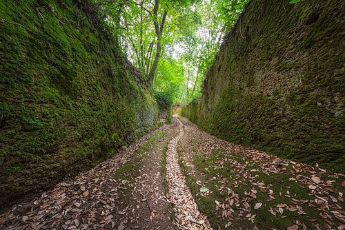 Via Cava San Rocco, Etruskische uitgegraven weg in Sorano