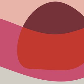 Abstract colorful shapes in pink , white red, light grey by Dina Dankers