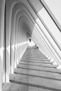 Zwart-witfoto fiets en lijnen Luik-Guillemins van Jochem Oomen