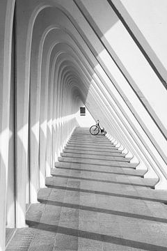 Black-and-white photo bicycle and lines Liege-Guillemins by Jochem Oomen
