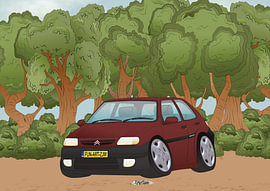 Citroen Saxo van Fun Art Zjwame
