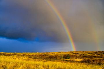 Regenboog in de duinen op het eiland Texel in het Waddenzeegebied