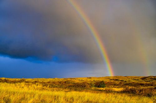 Regenboog in de duinen op het eiland Texel in het Waddenzeegebied