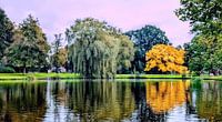 Le parc municipal de Kampen en fleurs