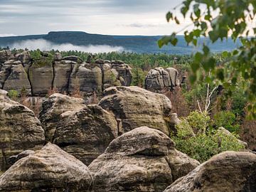 Carolafelsen in der Sächsischen Schweiz - Verwitterte Felslandschaft von Pixelwerk