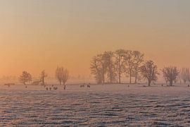 Zonsopkomst in de winter van Stephan Neven
