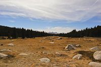 Paysage