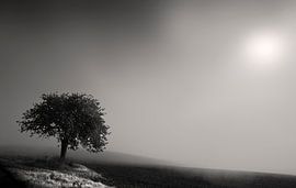 Le brouillard en Rhénanie-Palatinat