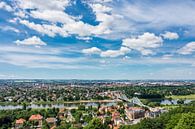 Blick über die Elbe auf Dresden van Rico Ködder thumbnail