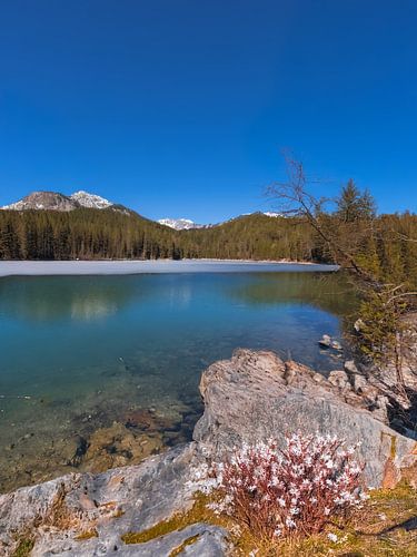 Bergsee Idylle - bergmeer idylle - idylle de lac du montagne