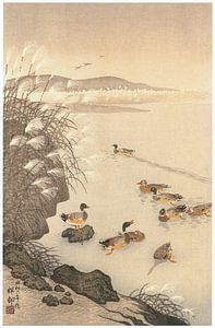 Ohara Koson - Spätherbstlicher Teich (bearbeitet)