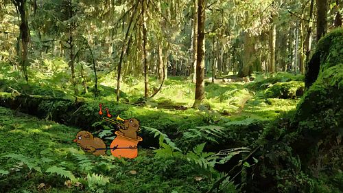 Fährten richtig lesen