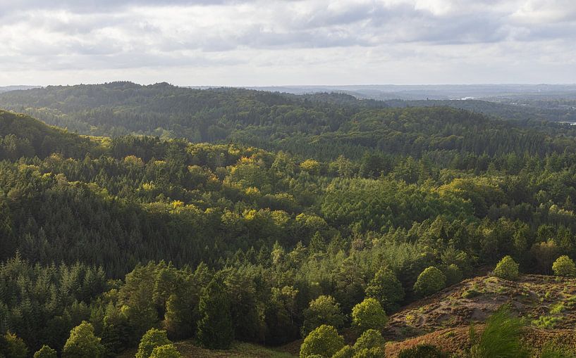 Uitzicht Himmelbjerget - Ry (Denemarken) van Marcel Kerdijk
