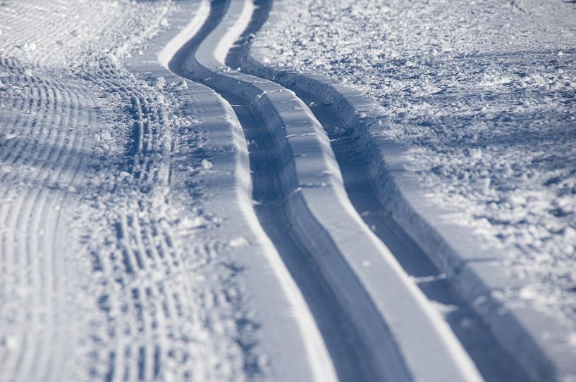 Leave traces by Max Steinwald