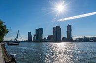 Zicht op de skyline van Rotterdam, De kop van Zuid van Patrick Verhoef thumbnail