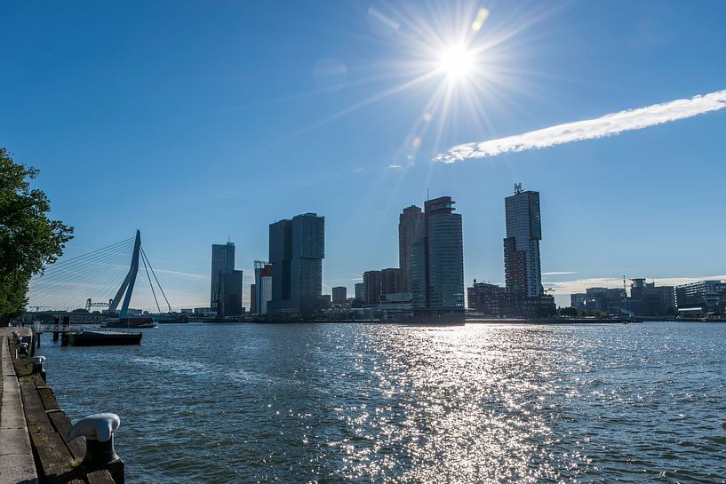 Zicht op de skyline van Rotterdam, De kop van Zuid van Patrick Verhoef