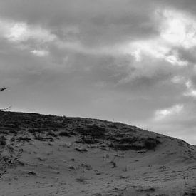 Einsamkeit von Sarineke Daane