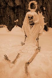 Last angel skeleton of an angel in white snow