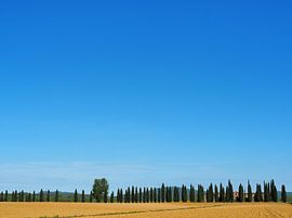 Bella Italia