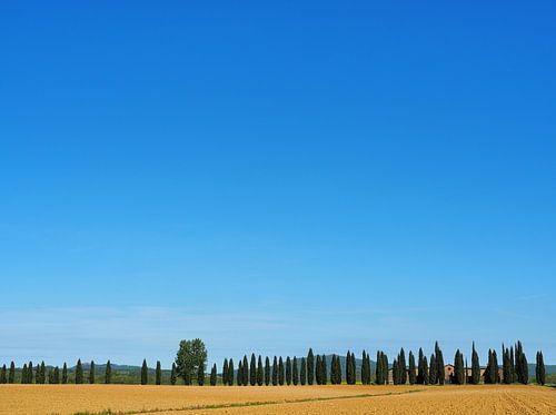 La belle Italie
