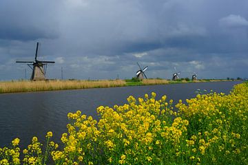 Molens Kinderdijk von Michel van Kooten